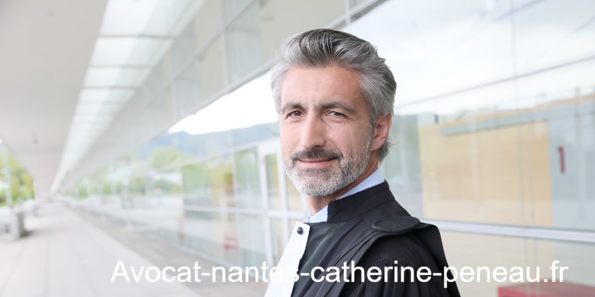 avocat-nantes-catherine-peneau.fr